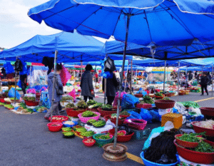 전국 5일장 날짜, 장소 총정리: 지역별 인기 5일장 탐방 가이드