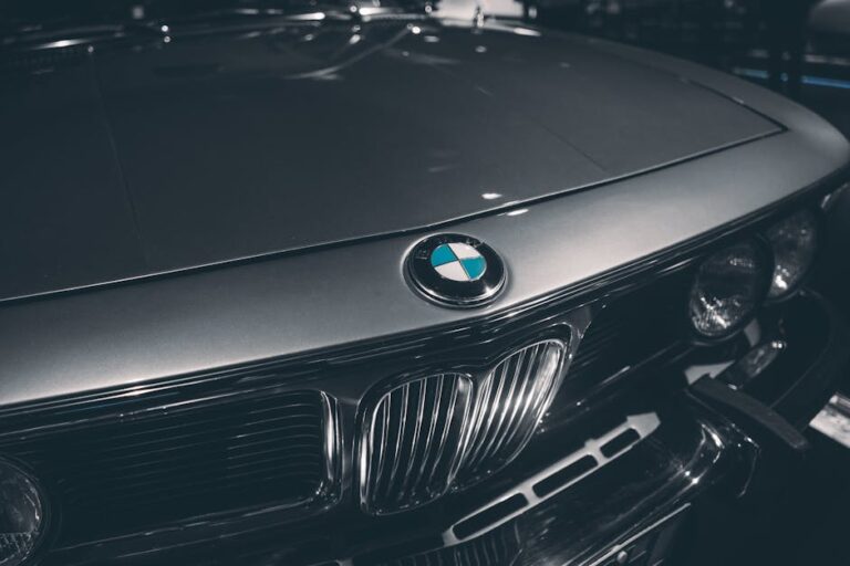 Close-up of classic BMW hood showcasing emblem and chrome details. Captured in Munich, Germany.