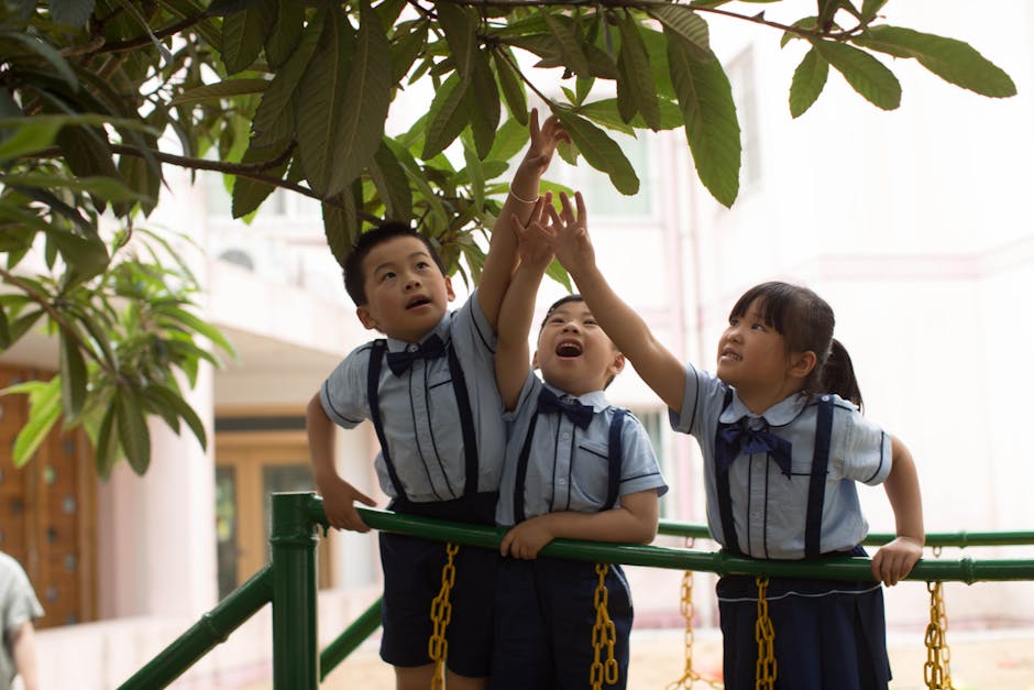 Three children in school uniforms reach for tree leaves on a sunny day, showcasing curiosity.
