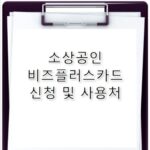 소상공인 비즈플러스카드 신청 대상 및 사용처