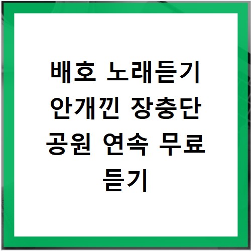 배호 노래듣기 안개낀 장충단 공원 연속 무료 듣기