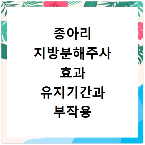 종아리 지방분해주사 효과 유지기간과 부작용