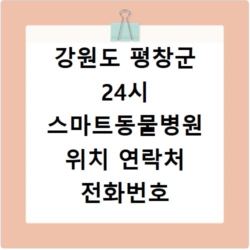 강원도 평창군 24시 스마트동물병원 위치 연락처 전화번호