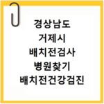 경상남도 거제시 배치전검사 병원찾기 배치전건강검진 항목 비용조회