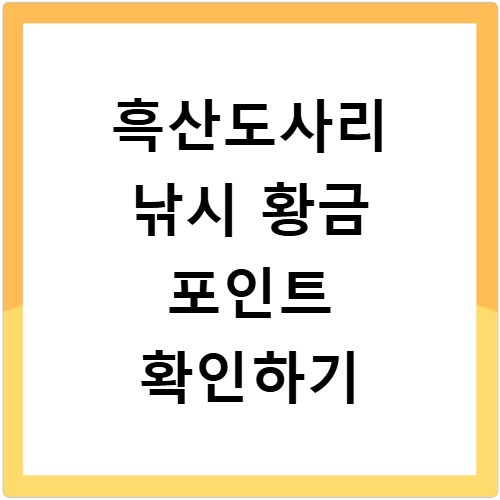 흑산도사리 낚시 황금 포인트 확인하기