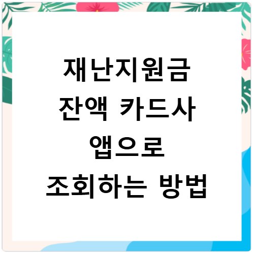 재난지원금 잔액 카드사 앱으로 조회하는 방법
