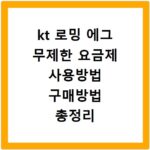 kt 로밍 에그 무제한 요금제 사용방법 구매방법 총정리