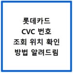 롯데카드 CVC 번호 조회 위치 확인 방법 알려드림