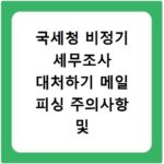 국세청 비정기 세무조사 대처하기 메일 피싱 주의사항 및 신고 방법