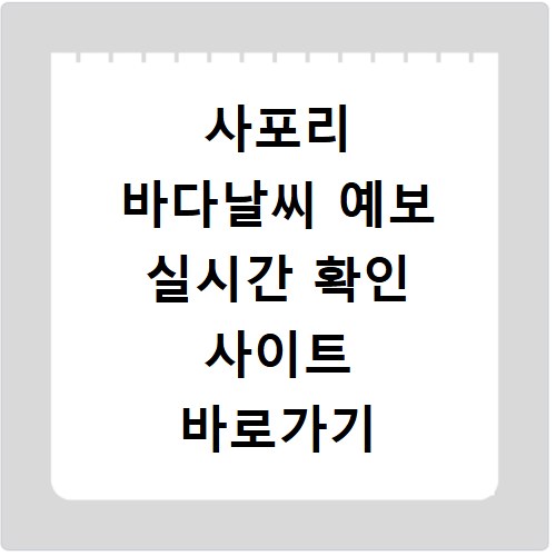 사포리 바다날씨 예보 실시간 확인 사이트 바로가기