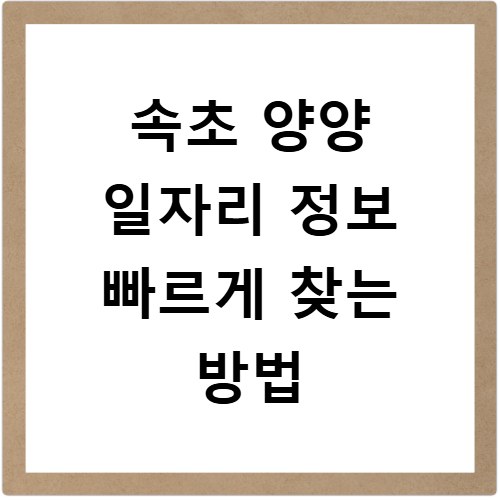 속초 양양 일자리 정보 빠르게 찾는 방법