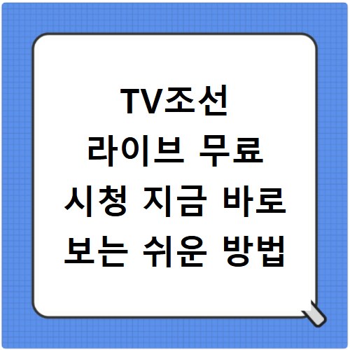 TV조선 라이브 무료 시청 지금 바로 보는 쉬운 방법