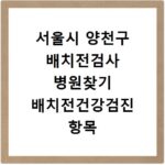 서울시 양천구 배치전검사 병원찾기 배치전건강검진 항목 비용조회