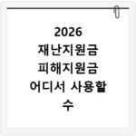 2026 재난지원금 피해지원금 어디서 사용할 수 있을까?