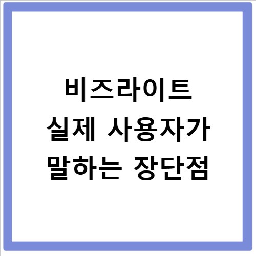 비즈라이트 실제 사용자가 말하는 장단점