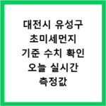 대전시 유성구 초미세먼지 기준 수치 확인 오늘 실시간 측정값 확인하기