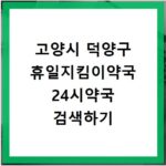 고양시 덕양구 휴일지킴이약국 24시약국 검색하기