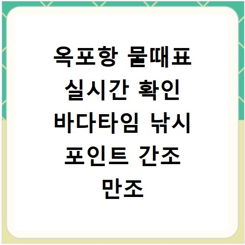 옥포항 물때표 실시간 확인 바다타임 낚시 포인트 간조 만조 시간