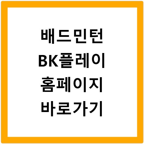 배드민턴 BK플레이 홈페이지 바로가기