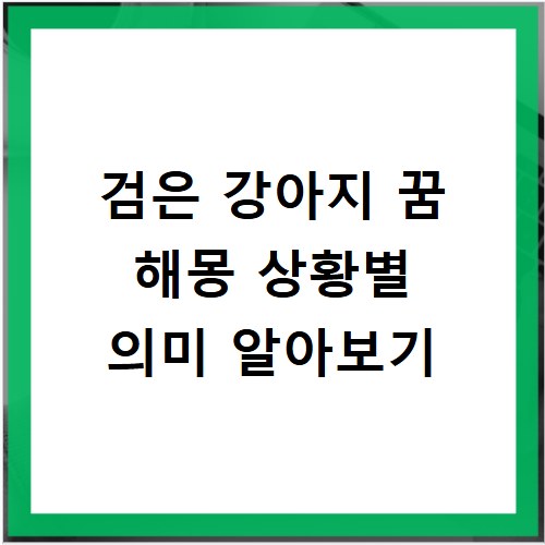 검은 강아지 꿈 해몽 상황별 의미 알아보기