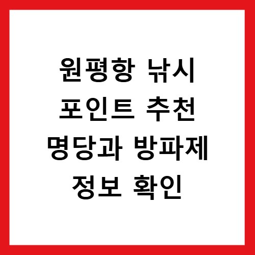 원평항 낚시 포인트 추천 명당과 방파제 정보 확인
