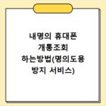 내명의 휴대폰 개통조회 하는방법(명의도용 방지 서비스)