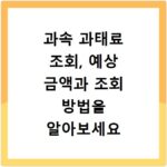 과속 과태료 조회, 예상 금액과 조회 방법을 알아보세요