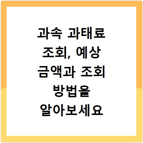 과속 과태료 조회, 예상 금액과 조회 방법을 알아보세요