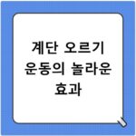 계단 오르기 운동의 놀라운 효과