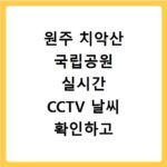 원주 치악산 국립공원 실시간 CCTV 날씨 확인하고 안전하게 등산하는 법