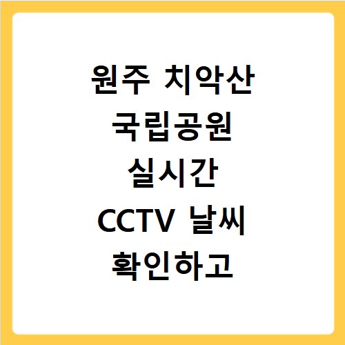 원주 치악산 국립공원 실시간 CCTV 날씨 확인하고 안전하게 등산하는 법