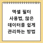엑셀 필터 사용법, 많은 데이터를 쉽게 관리하는 방법