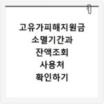 고유가피해지원금 소멸기간과 잔액조회 사용처 확인하기