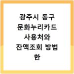 광주시 동구 문화누리카드 사용처와 잔액조회 방법 한 번에 해결하기