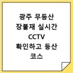 광주 무등산 장불재 실시간 CCTV 확인하고 등산 코스 날씨 미리 체크하기