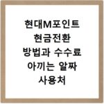 현대M포인트 현금전환 방법과 수수료 아끼는 알짜 사용처 정리