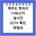 제주도 한라산 1100고지 실시간 CCTV 확인 방법과 현재 도로 상황 파악하기
