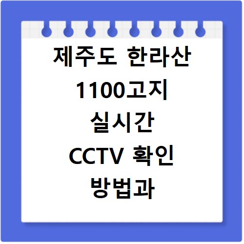 제주도 한라산 1100고지 실시간 CCTV 확인 방법과 현재 도로 상황 파악하기