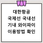 대한항공 국제선 국내선 기내 와이파이 이용방법 확인
