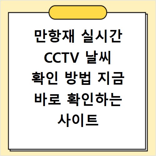 만항재 실시간 CCTV 날씨 확인 방법 지금 바로 확인하는 사이트 바로가기