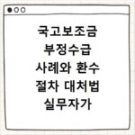 국고보조금 부정수급 사례와 환수 절차 대처법 실무자가 알려주는 대응 전략