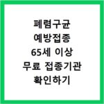 폐렴구균 예방접종 65세 이상 무료 접종기관 확인하기