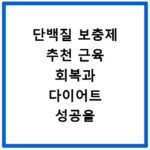 단백질 보충제 추천 근육 회복과 다이어트 성공을 위한 선택 기준