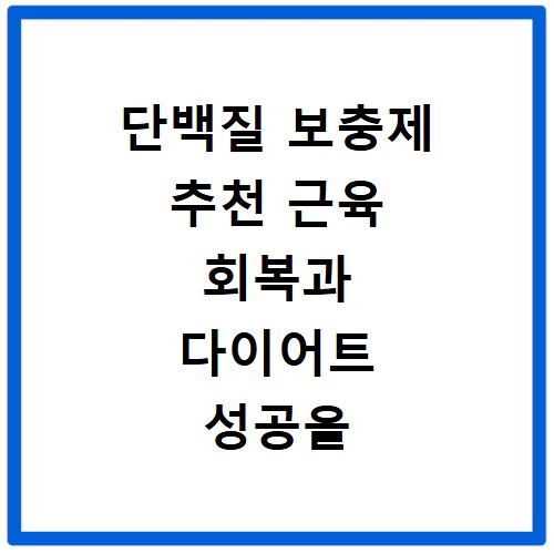 단백질 보충제 추천 근육 회복과 다이어트 성공을 위한 선택 기준