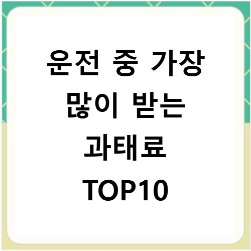 운전 중 가장 많이 받는 과태료 TOP10