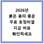 2026년 붉은 용띠 총운 무료 토정비결 지금 바로 확인하세요