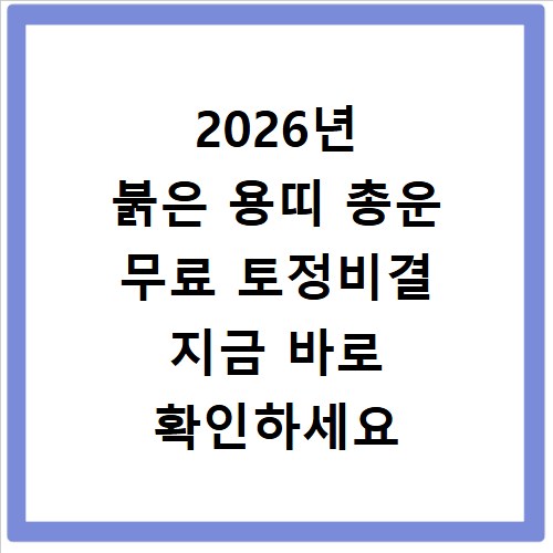 2026년 붉은 용띠 총운 무료 토정비결 지금 바로 확인하세요