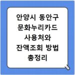 안양시 동안구 문화누리카드 사용처와 잔액조회 방법 총정리