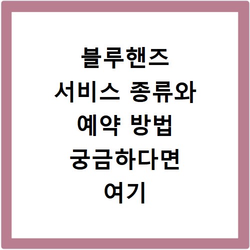 블루핸즈 서비스 종류와 예약 방법 궁금하다면 여기 클릭