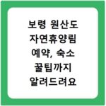 보령 원산도 자연휴양림 예약, 숙소 꿀팁까지 알려드려요